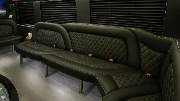 Interior of Tuckahoe Party Bus Company's 14 Passenger Sprinter Limousine in Tuckahoe