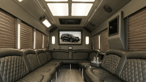 Interior of Annandale Party Bus Company's 30 Passenger Party Bus in Annandale